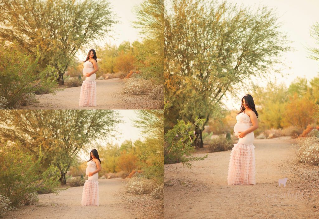 Blush pink maternity gown_Reaj Roberts Photography_1