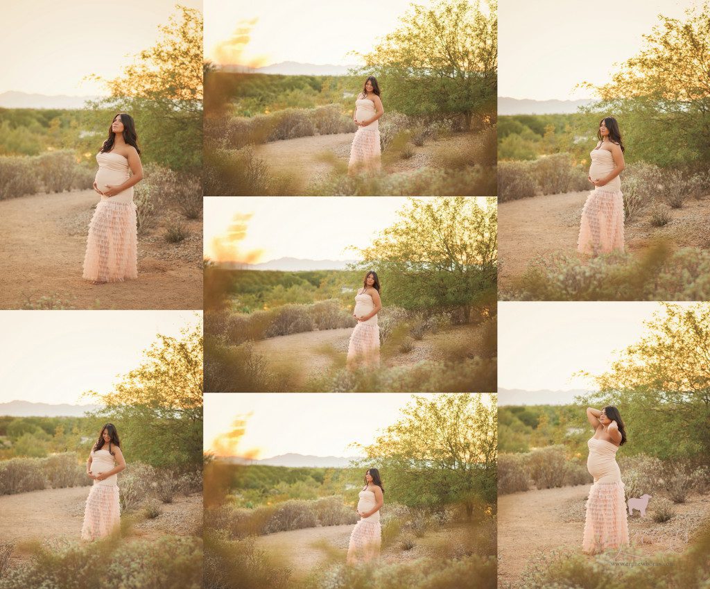 TAOPAN Gown_Reaj Roberts Photography