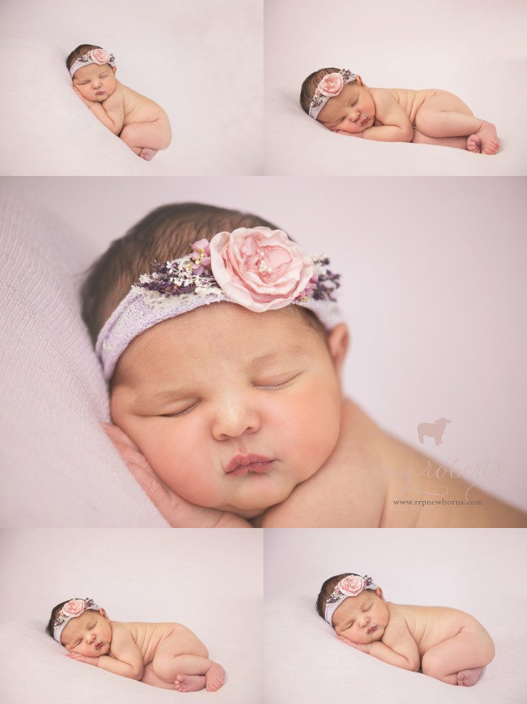 Newborn photos with lavender