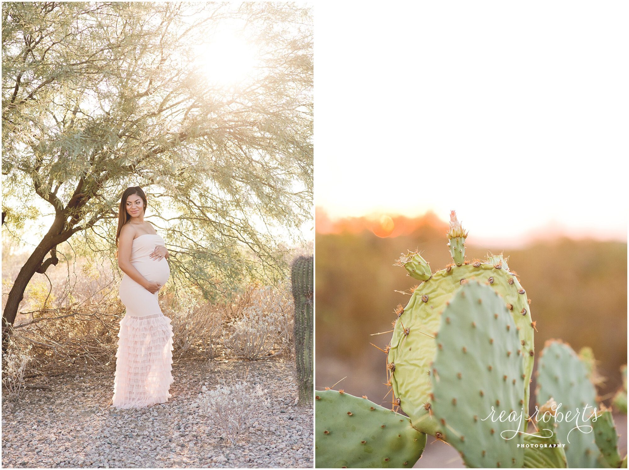 Desert botanical maternity session | Reaj Roberts Photography
