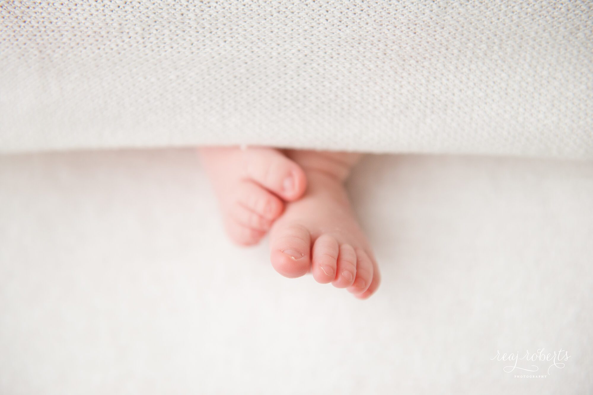 Newborn toes | Chandler newborn family photographer | Reaj Roberts Photography