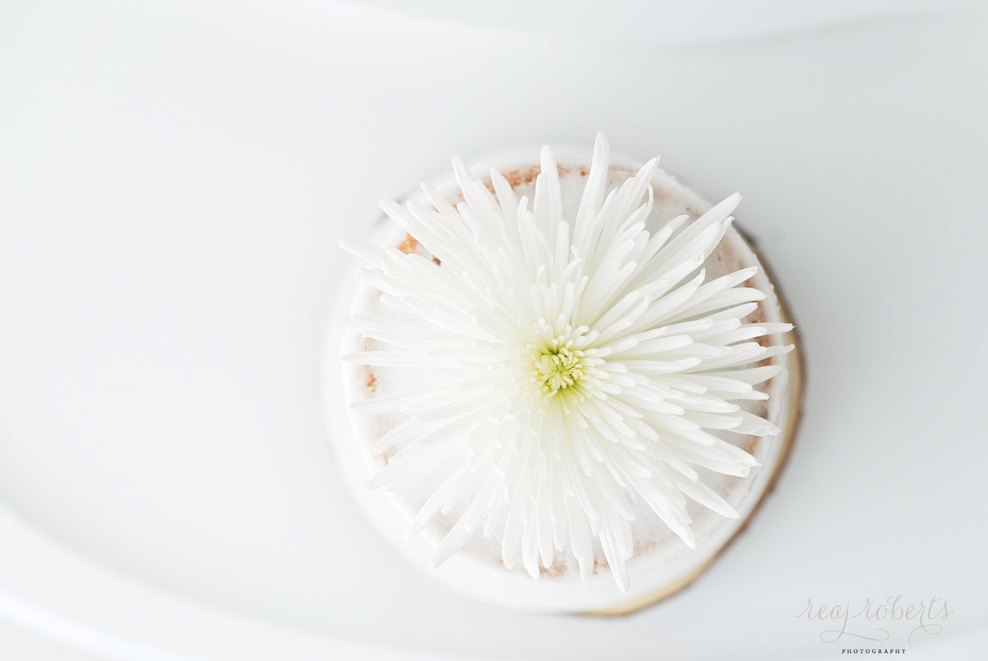 small white cake with large flower