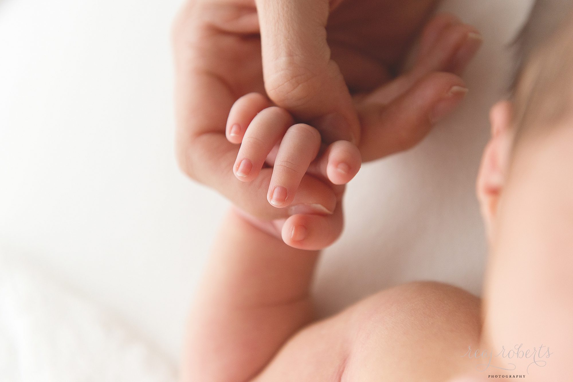 Phoenix Baby Photographer | Reaj Roberts Photography | newborn holding hands