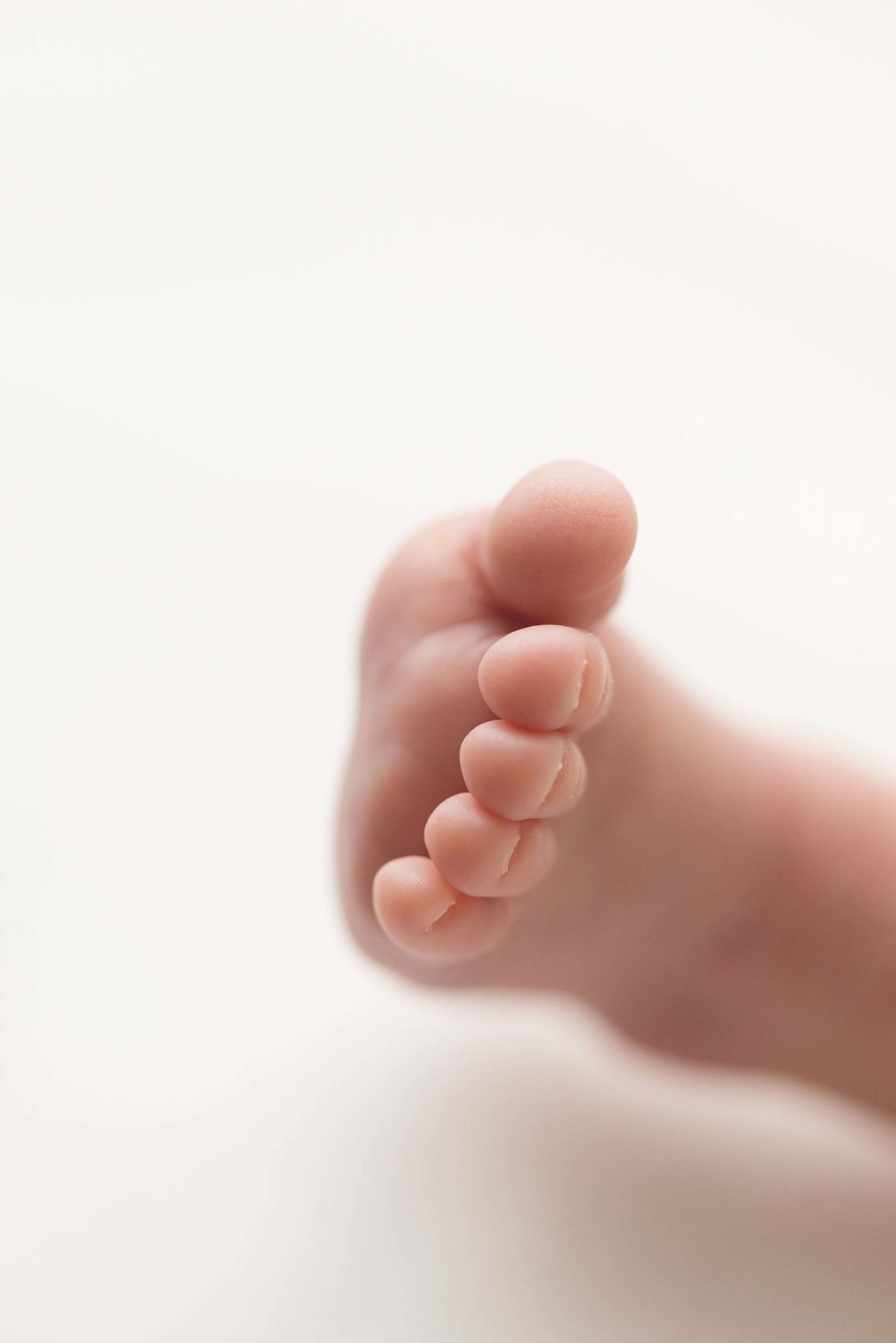 newborn baby toes chandler photographer near me