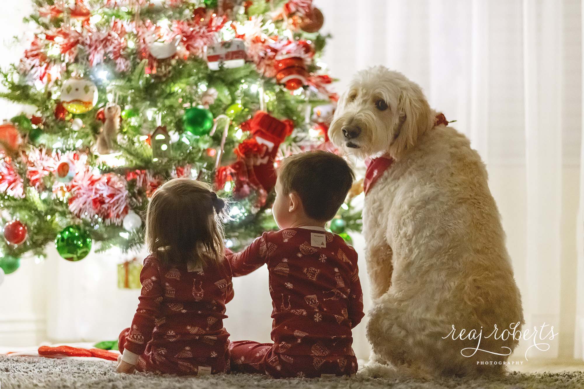 Christmas tree photos with toddlers and dog Christmas tree photos | Simply Sparkle Sessions by Reaj Roberts Photography