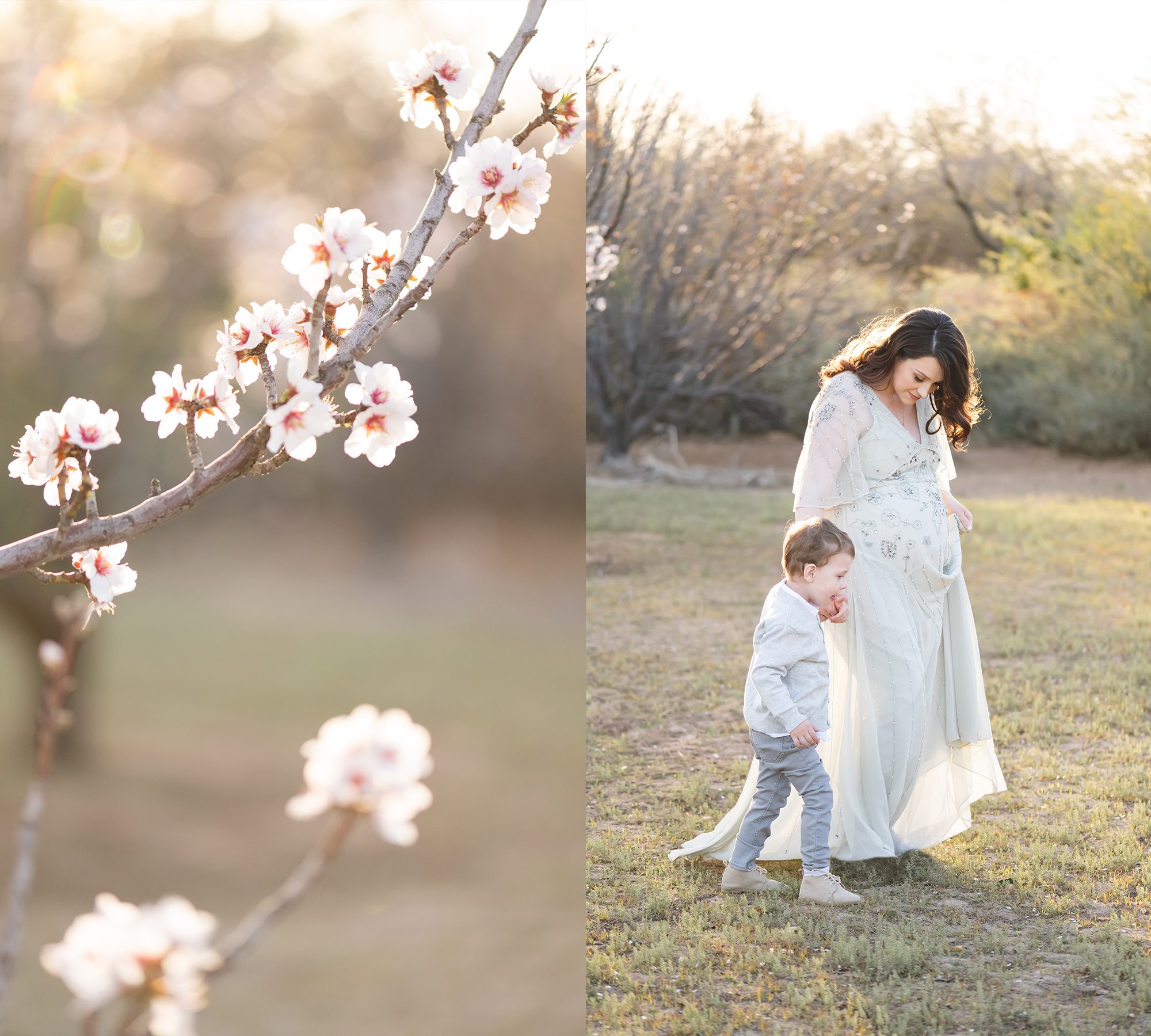 Julia's Almond Blossom sunset maternity session | Reaj Roberts Photography | Pregnancy Photos in Spring
